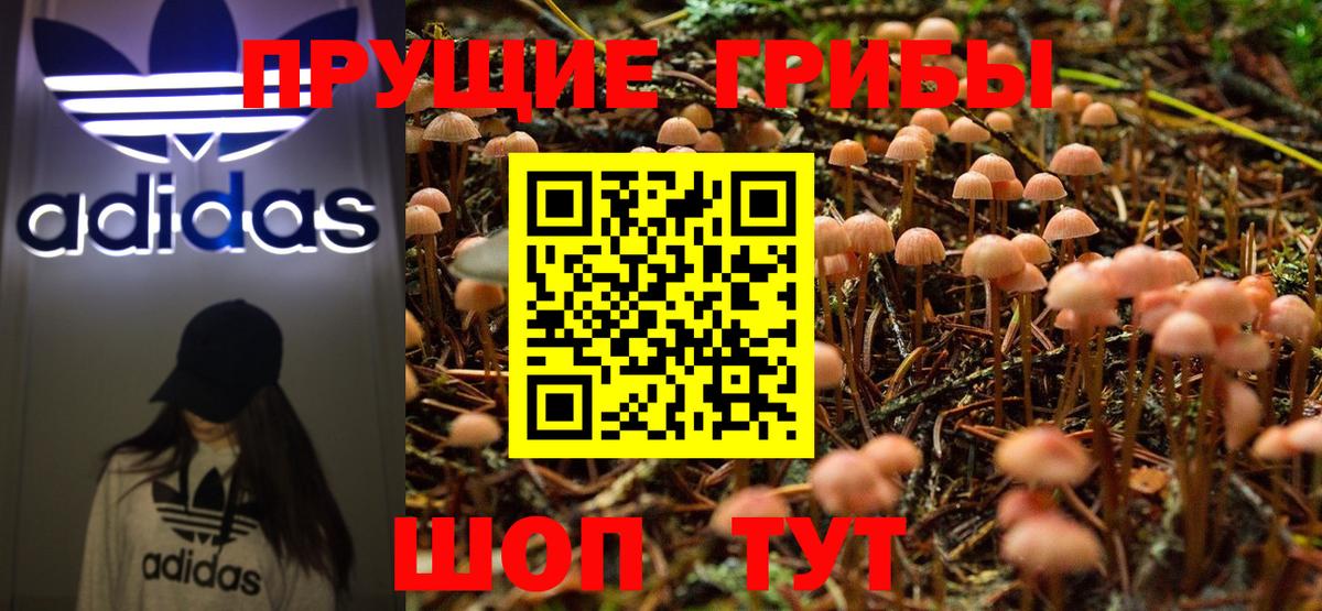 Галлюциногенные грибы Cubensis Дагестанские Огни