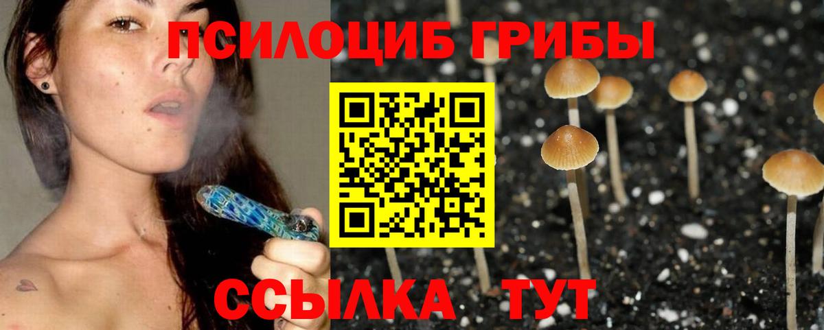 Дагестанские Огни  Галлюциногенные грибы Magic Shrooms  Вход с VPN 